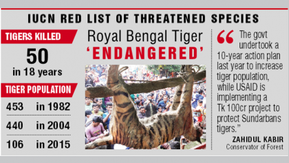 Tigress killed as forest officials ‘nap’