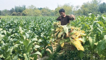 Health Development Surcharge in Bangladesh