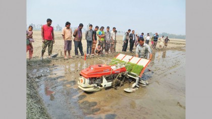 Transplanting machine gains popularity