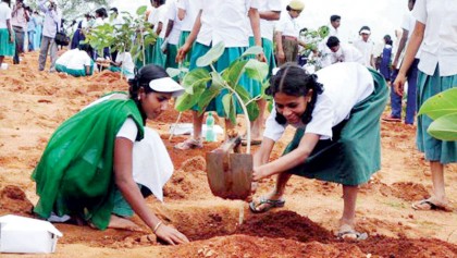 President’s call for social afforestation