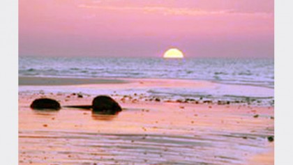 Turkey to invest in Bangladesh’s tourism sector: Minister