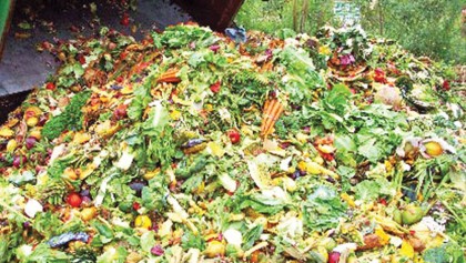 Turning Food Waste Into Green Energy