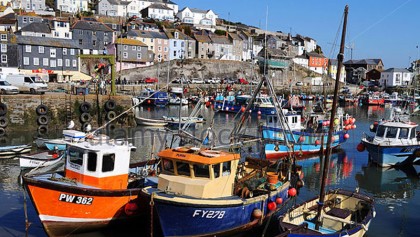 UK fishing industry ‘will need EU market access’ post Brexit