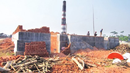 Unlicenced brick-fields in Shariatpur damage crops
