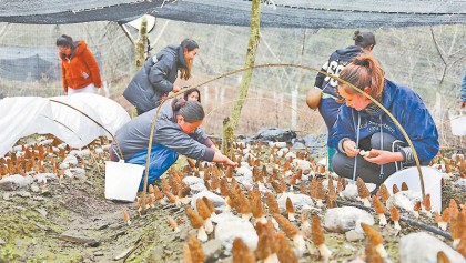 New development models boost villagers’ incomes