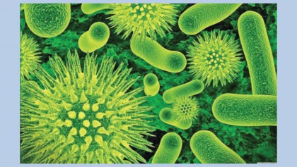 Viral infections