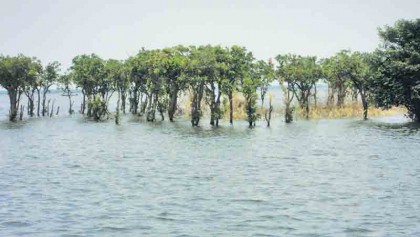 Wetlands in Bangladesh: Diversity, resources and people
