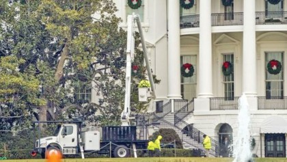 White House’s magnolia tree to be cut back