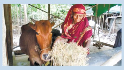 Woman overcomes poverty through farming