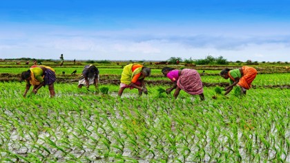 �Give recognition to  women farmers�