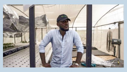 Nigeria’s ‘gentleman farmers’