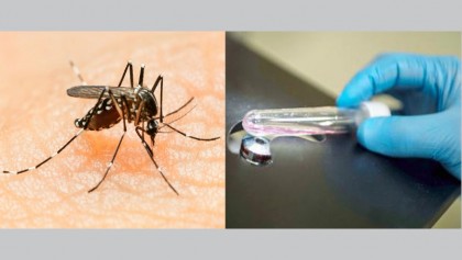 Expert plays down fears around Zika in country