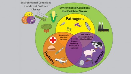 Zoonotic diseases and one health concept