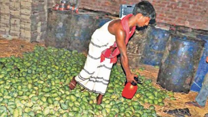 Food adulteration