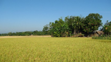 Law for protecting 
agricultural land  