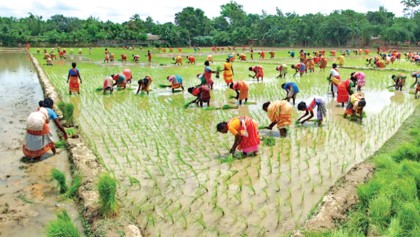 Women can be a crucial force 
in agriculture 