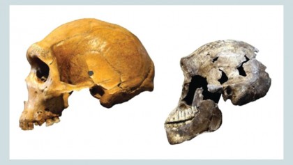Amazing haul of ancient human finds unveiled
