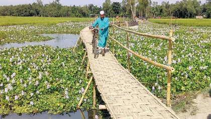 Youth organisation builds bamboo bridge to ease villagers’ trouble