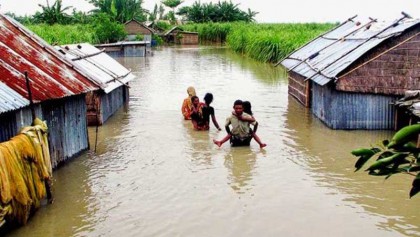 Crops worth Tk 450cr damaged in flood-hit northern dists