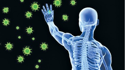 The body’s immune system