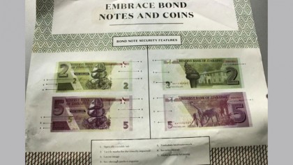 Zimbabwe rolls out ‘surrogate’ dollars amid unease