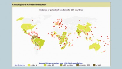 A brief presentation on Chikungunya