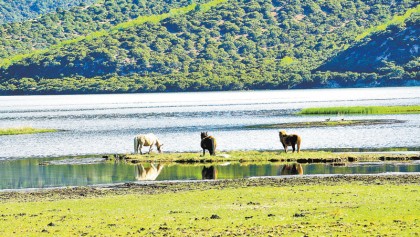 Luorong villagers: Lucid waters and lush mountains
are our rice bowl
