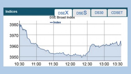 Dhaka stocks plunge despite 
circuit breaker on companies