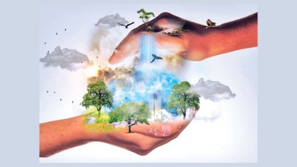 Strategic approach needed to conserve nature