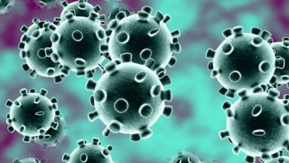 Do not panic over coronavirus: IEDCR
