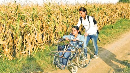 Persons with disabilities and agriculture