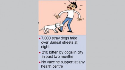 Record number dog-bite cases in Barisal in one year   