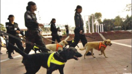 More dog squads in the offing 
