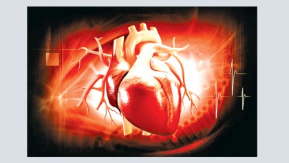 US scientists create new drug to sustain oxygen-starved hearts