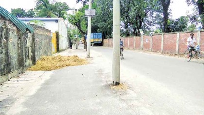4,000 electric poles in middle 
of Gazipur roads 