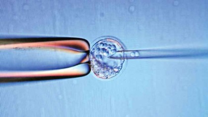 Britain grants first licence for genetic modification of embryos