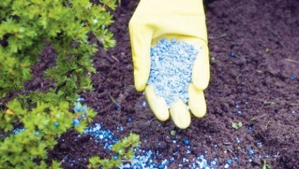 Inorganic ferilisers: A blessing or a curse