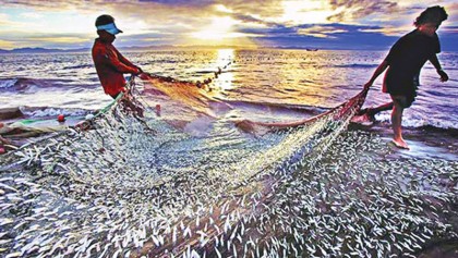 Blue economy: Road to economic prosperity in Bangladesh