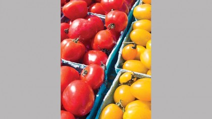 Cheaper healthy food could save millions of lives: Study