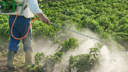 Judicious use of pesticide on fruits, vegetables stressed