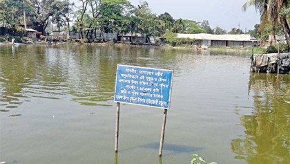 Freestyle grabbing of government lands