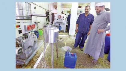 Libya’s ‘green gold’ olive industry hit by export ban