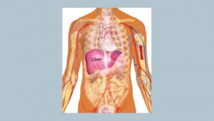 Natural ways to support a healthy liver