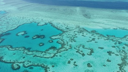 Scientists discover resilient ‘heart’ of Great Barrier Reef