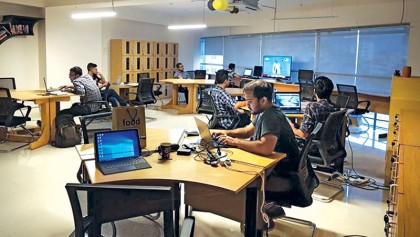 Busy bees find a new Hive