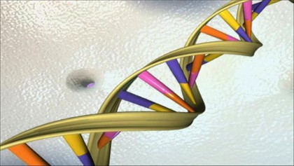 Human genome decoded with pocket-sized device