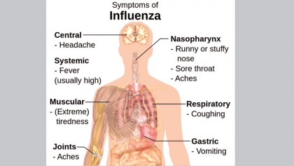 Facts about influenza
