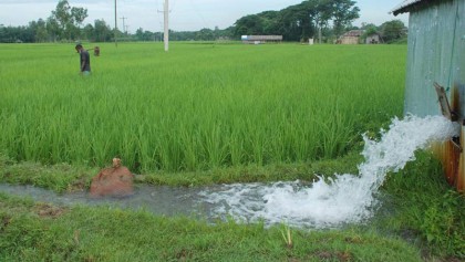 River water irrigation brings boon for Rajshahi farmers
