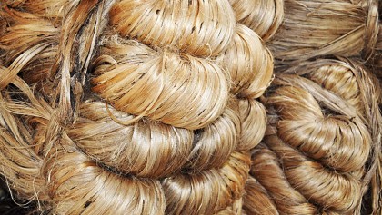 Stress on flourishing jute textile, light engineering sector