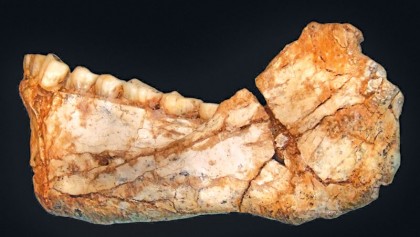 300,000-year-old Homo Sapiens fossil found